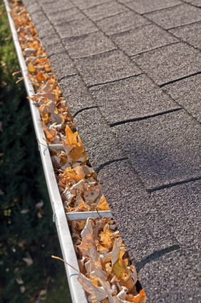 Avoid Water Damage: How to Handle Clogged Gutters After Heavy Virginia Storms
